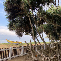 фото из отзыва ID 2666326