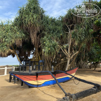 фото из отзыва ID 2666326