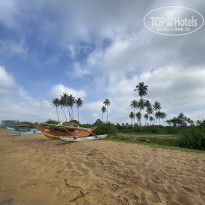 фото из отзыва ID 2666326