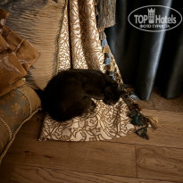 фото из отзыва ID 2666344