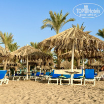 фото из отзыва ID 2666368