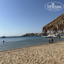 фото из отзыва ID 2666368