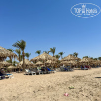 фото из отзыва ID 2666368