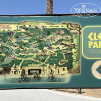 фото из отзыва ID 2666368