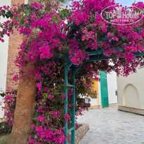 фото из отзыва ID 2666383