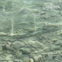 фото из отзыва ID 2666383