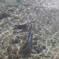 фото из отзыва ID 2666383