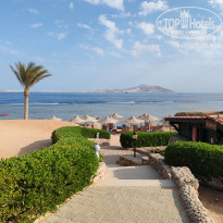 фото из отзыва ID 2666354