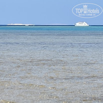 фото из отзыва ID 2666437