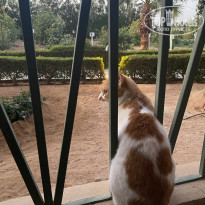 фото из отзыва ID 2666437