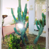 фото из отзыва ID 2666507