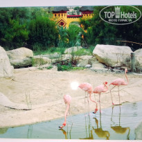 фото из отзыва ID 2666507