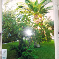 фото из отзыва ID 2666507