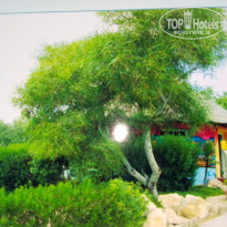 фото из отзыва ID 2666507