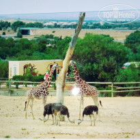 фото из отзыва ID 2666507