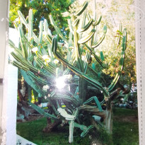 фото из отзыва ID 2666507