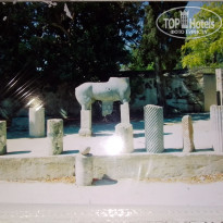 фото из отзыва ID 2666507