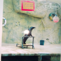 фото из отзыва ID 2666507