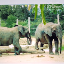 фото из отзыва ID 2666507