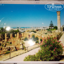 фото из отзыва ID 2666507