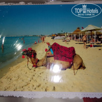 фото из отзыва ID 2666507