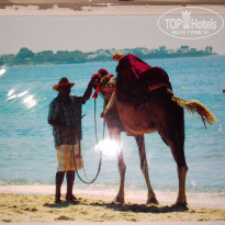 фото из отзыва ID 2666507