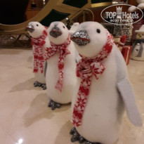 фото из отзыва ID 2666682