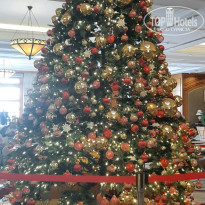 фото из отзыва ID 2666682