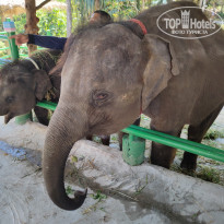 фото из отзыва ID 2666374