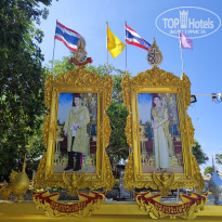 фото из отзыва ID 2666374