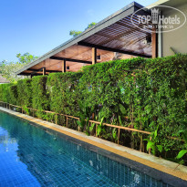 фото из отзыва ID 2666374