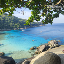 фото из отзыва ID 2666374