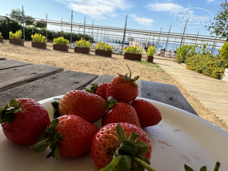 New photos from tourists Sidemarin Kirman Premium 5*