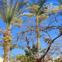 фото из отзыва ID 2666907