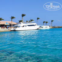 фото из отзыва ID 2666907