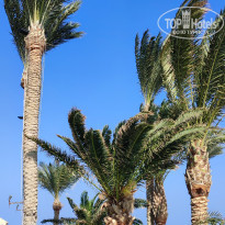 фото из отзыва ID 2666907