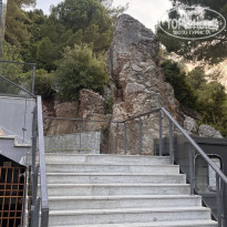 фото из отзыва ID 2666933