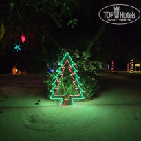 фото из отзыва ID 2666945