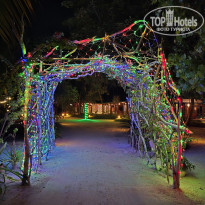 фото из отзыва ID 2666945