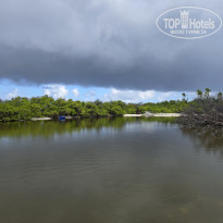 фото из отзыва ID 2666945