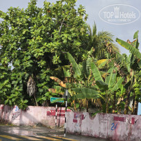 фото из отзыва ID 2666945