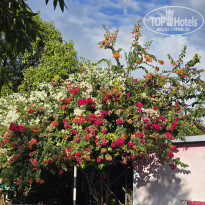 фото из отзыва ID 2666945