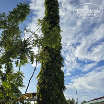 фото из отзыва ID 2666945