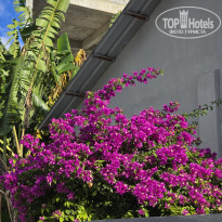 фото из отзыва ID 2666945