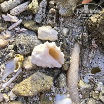 фото из отзыва ID 2666945