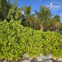 фото из отзыва ID 2666945