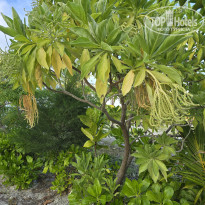 фото из отзыва ID 2666945