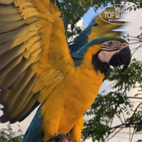 фото из отзыва ID 2666945