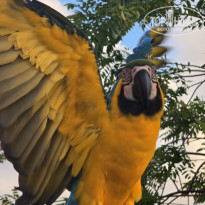 фото из отзыва ID 2666945