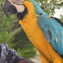 фото из отзыва ID 2666945